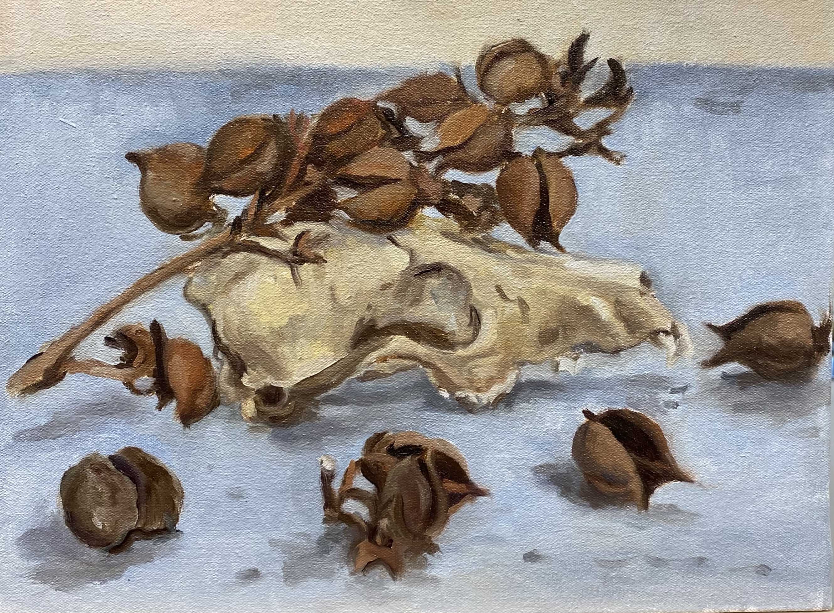 Skull and seeds, oil on canvas
